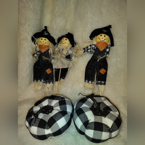 Fall Decor - Picture 1 of 1